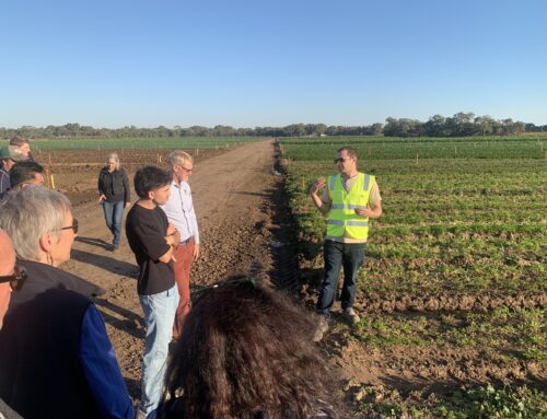 2024 Soilborne disease masterclass presentations